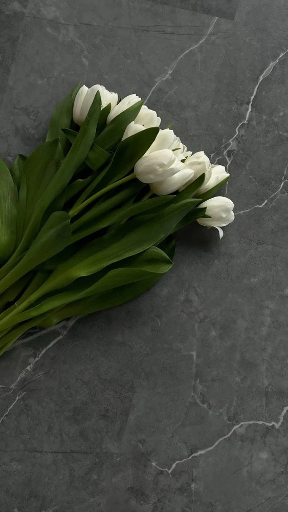 GIF uploaded by Irsa Basr