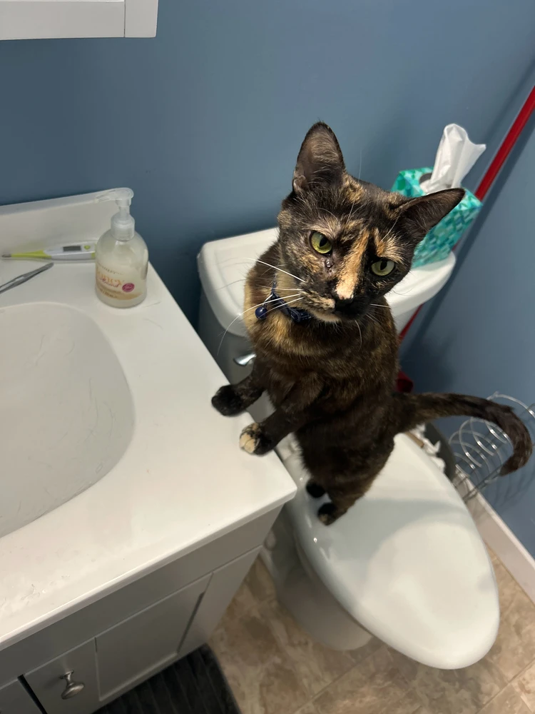 GIF uploaded by Zachary