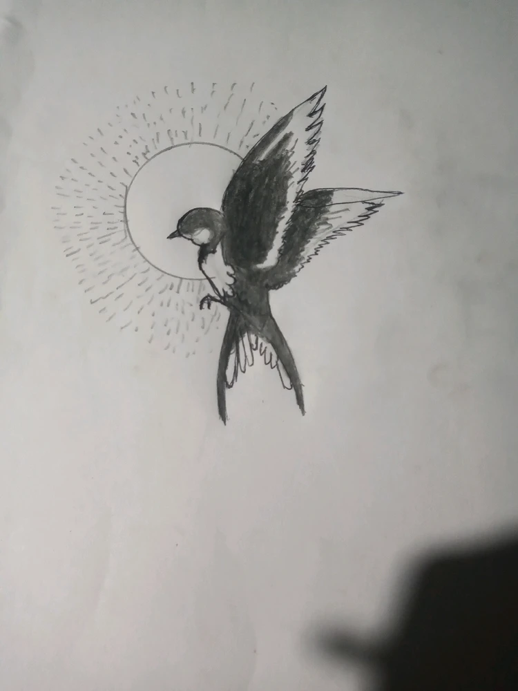 Imagen subida por Eduardo