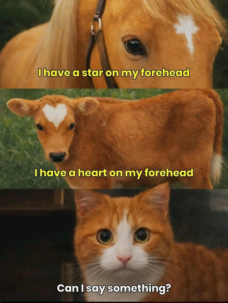 GIF uploaded by Erica