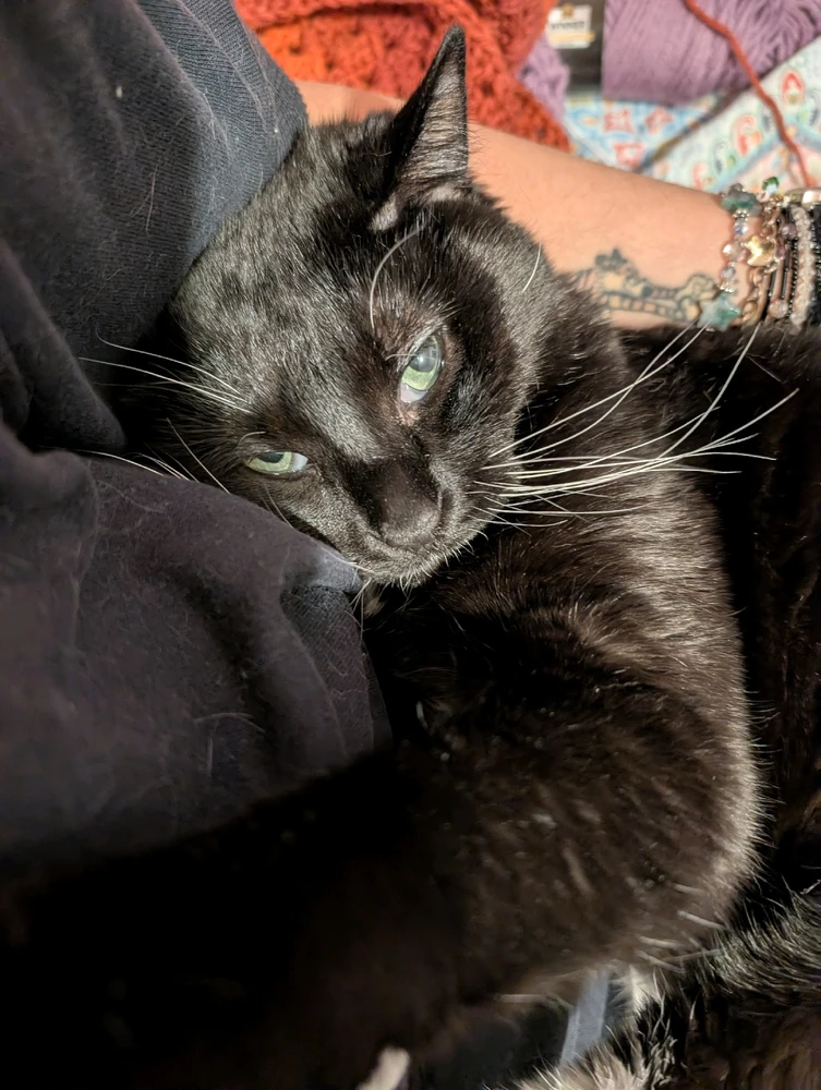 GIF uploaded by Steph