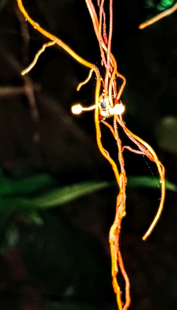 GIF uploaded by Juan Daniel