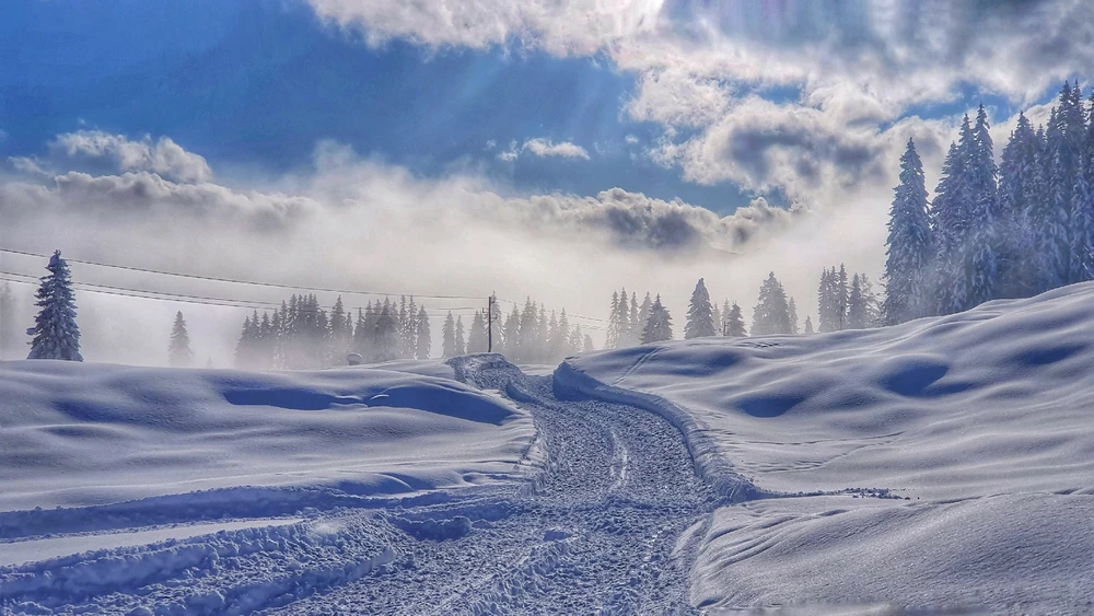 GIF uploaded by Nejka