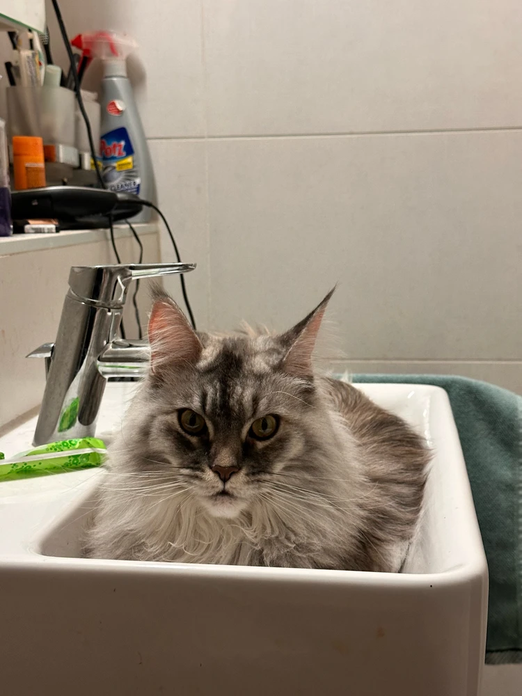 Image uploaded by Gladys