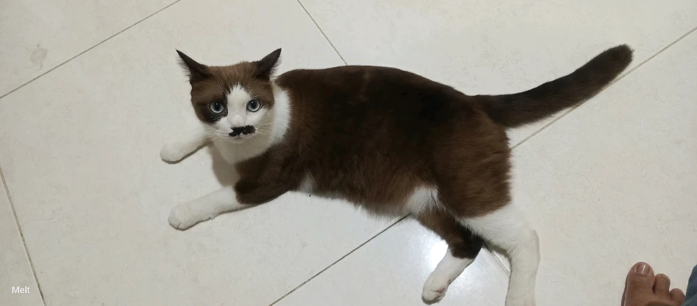 GIF uploaded by Melt