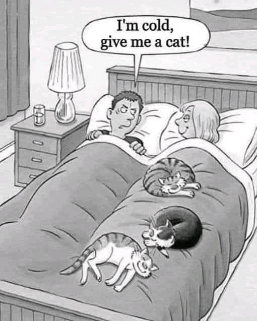 GIF uploaded by Dona 🦝👻🦝