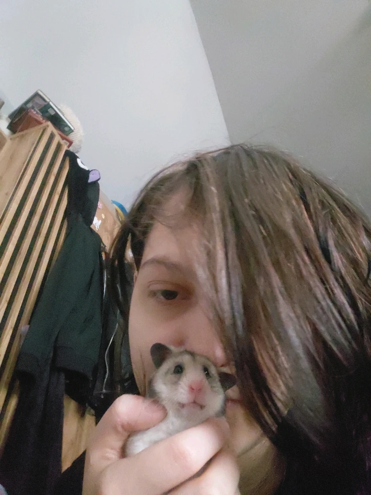 Image uploaded by Sandra