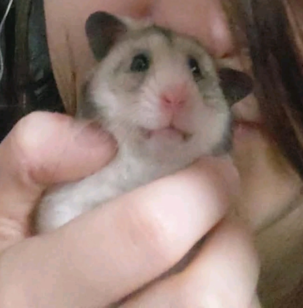 Image uploaded by Sandra