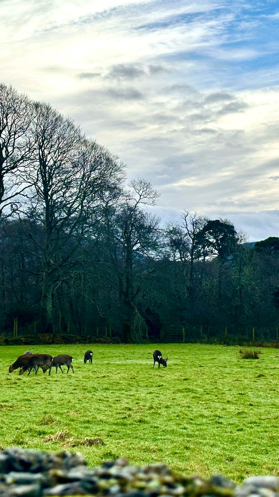 GIF uploaded by Alexandru