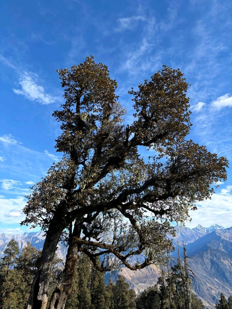 GIF uploaded by Ravi yadav