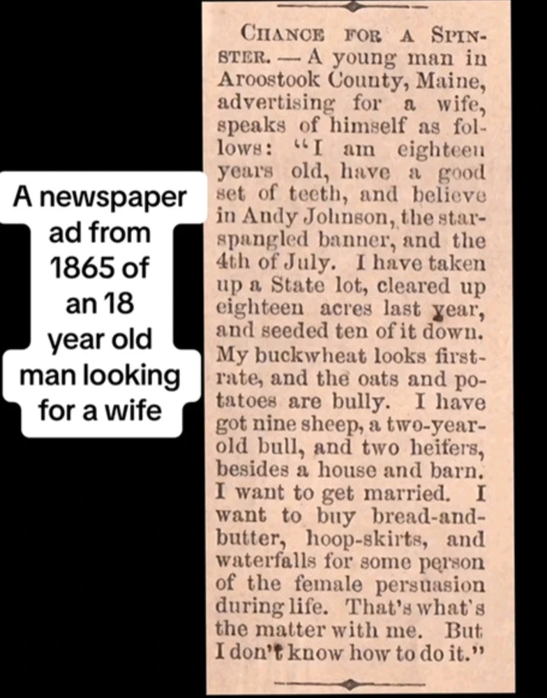 GIF uploaded by 🌲🌳🪻Wildflower🪻🌳🌲