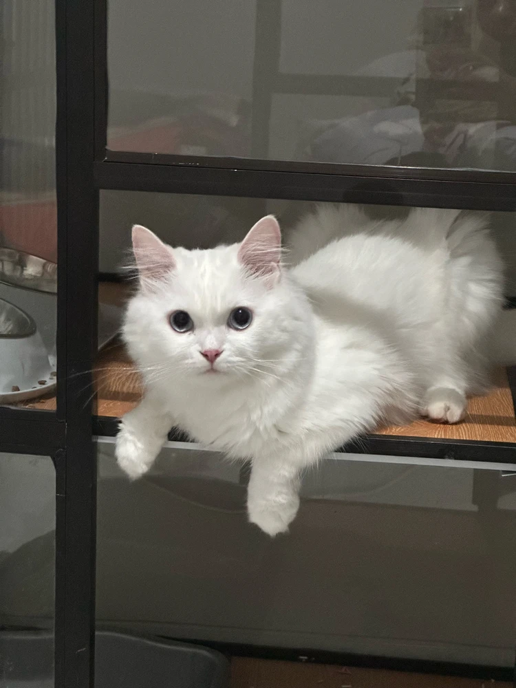 GIF uploaded by mumu