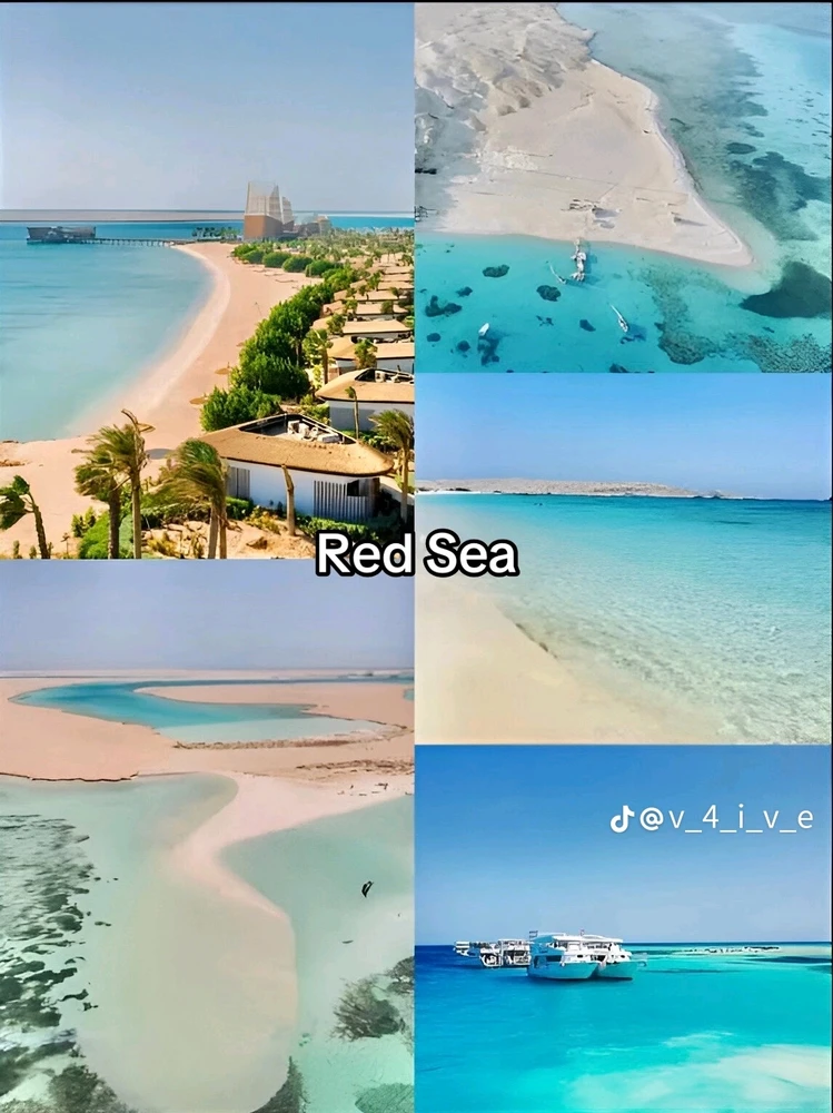 Image uploaded by Soo