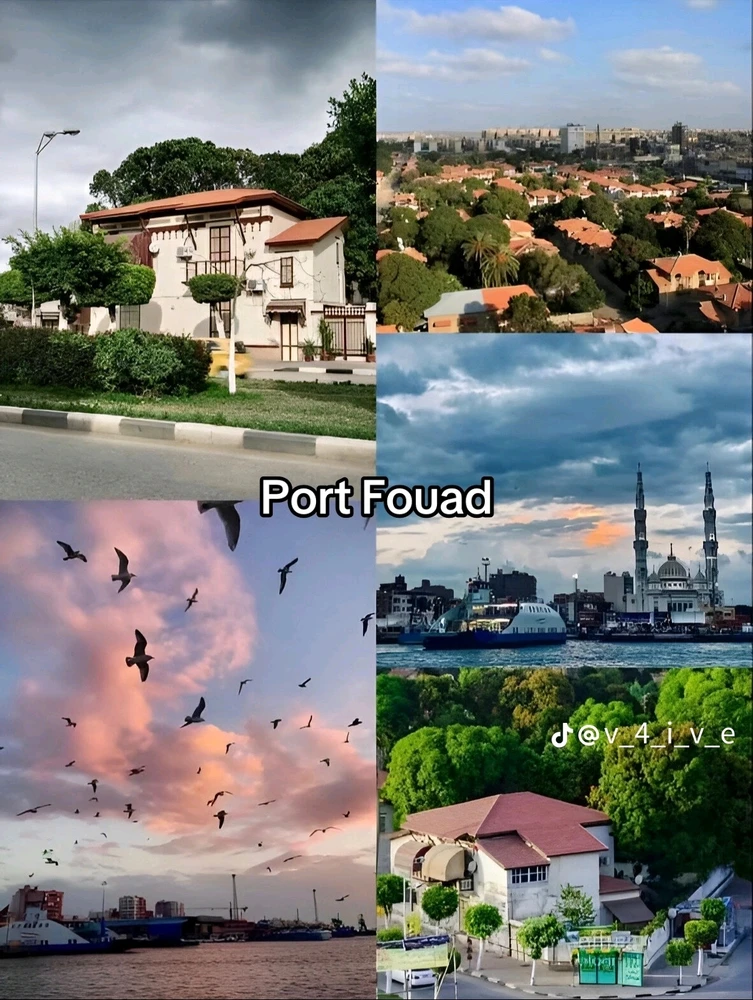 Image uploaded by Soo