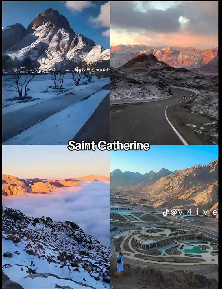 Image uploaded by Soo