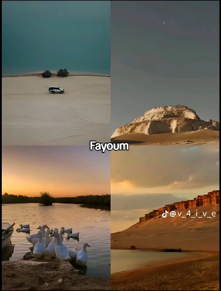 Image uploaded by Soo