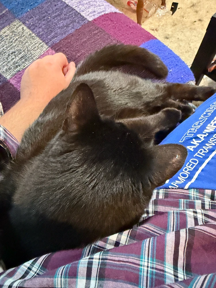 GIF uploaded by Jason