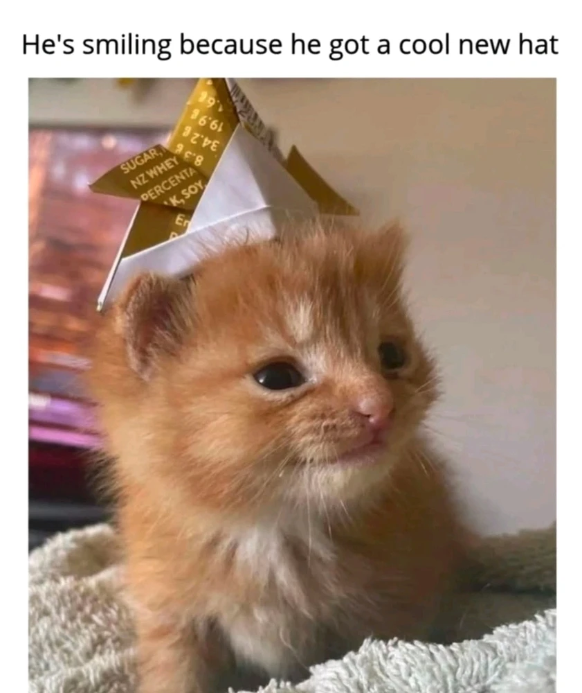 GIF hochgeladen von Kev