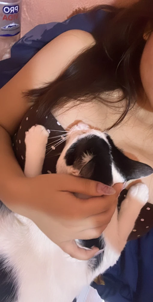 Image uploaded by Leap