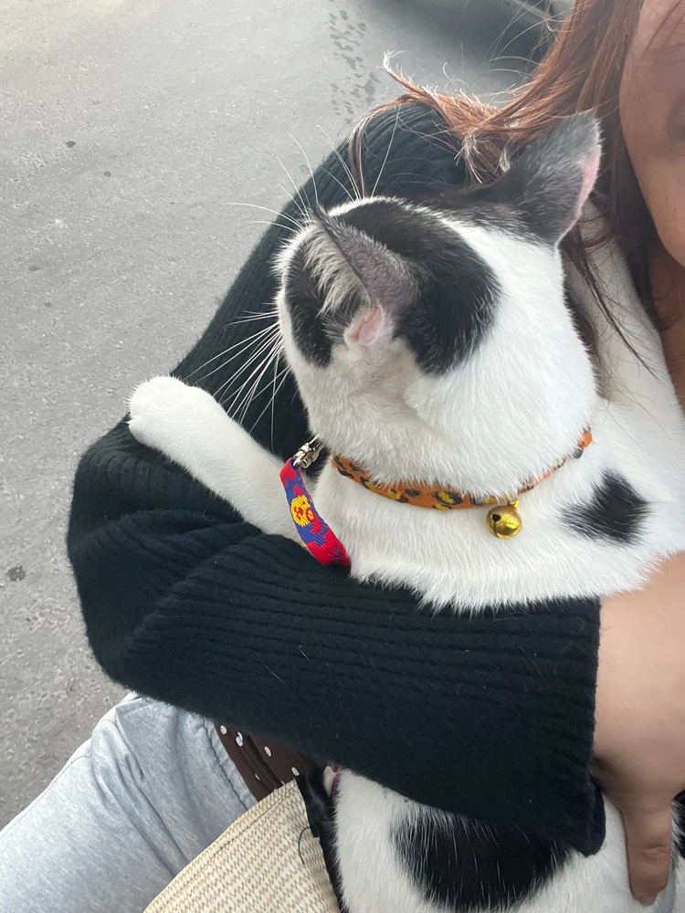 Image uploaded by Leap