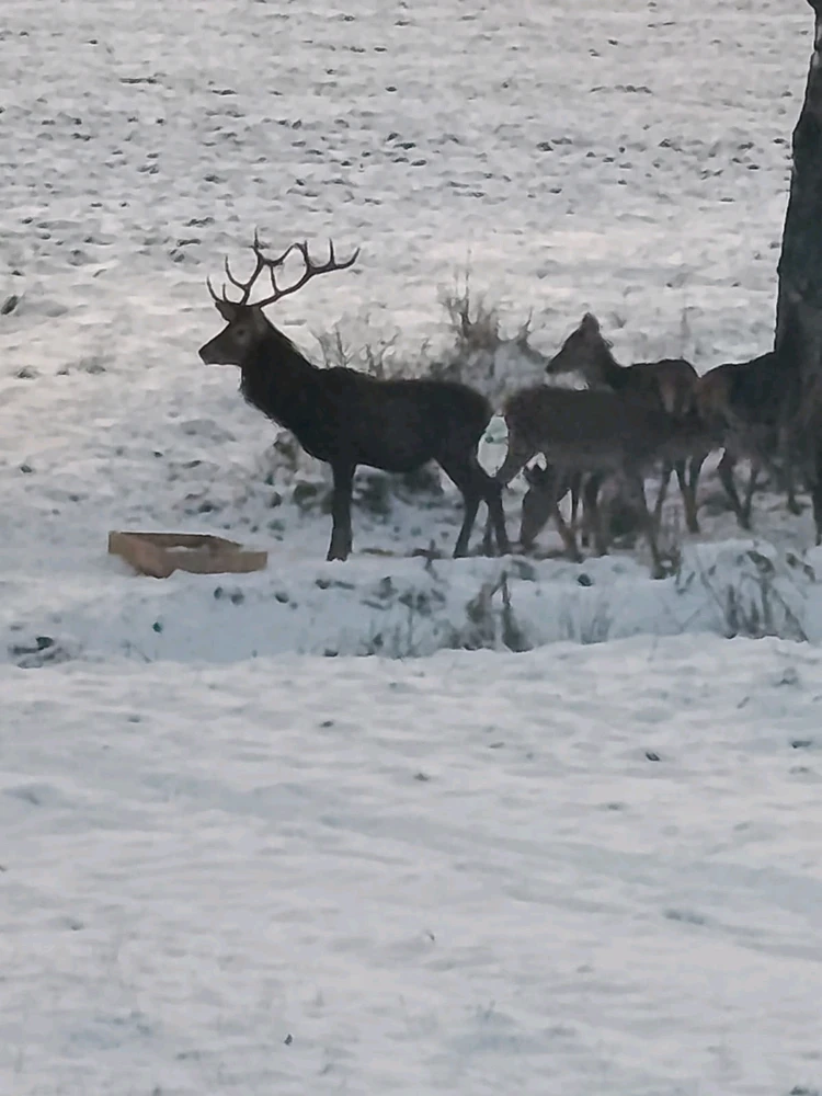 GIF nahrál Jaroslav
