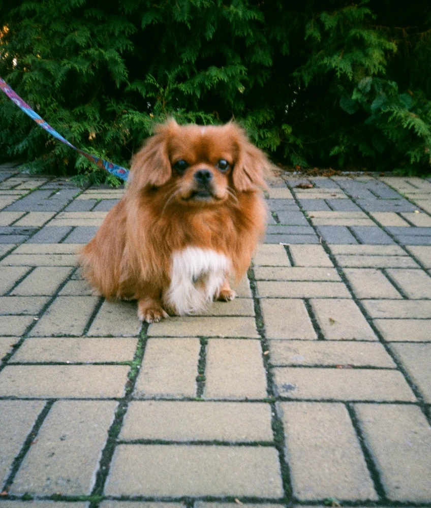 Image uploaded by Liza