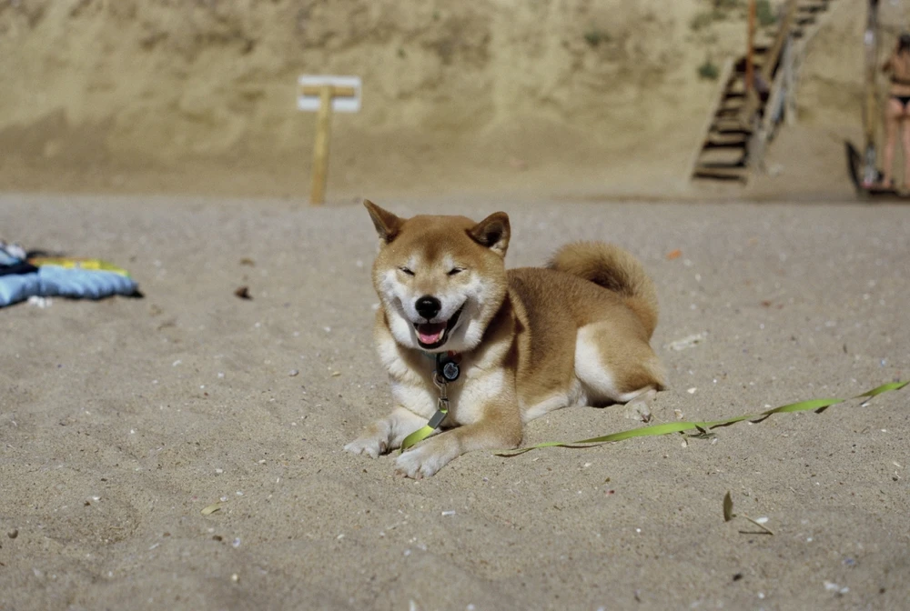 Image uploaded by Liza