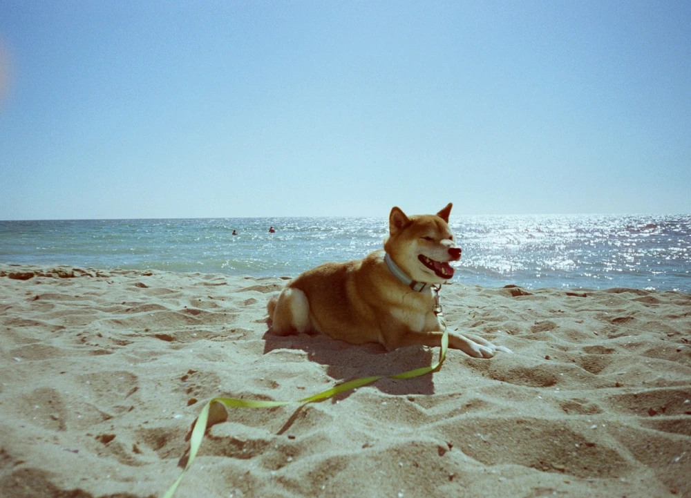 Image uploaded by Liza