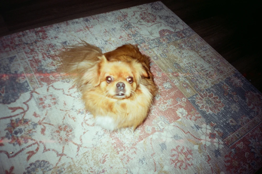 Image uploaded by Liza