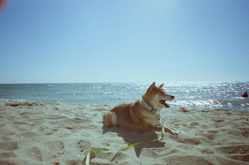 Image uploaded by Liza