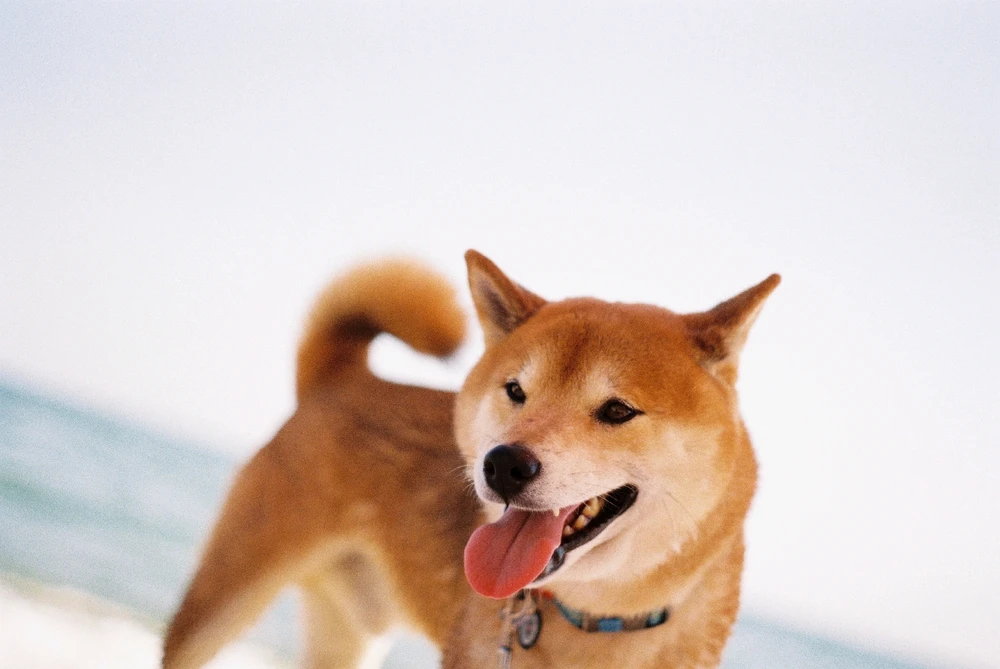 Image uploaded by Liza