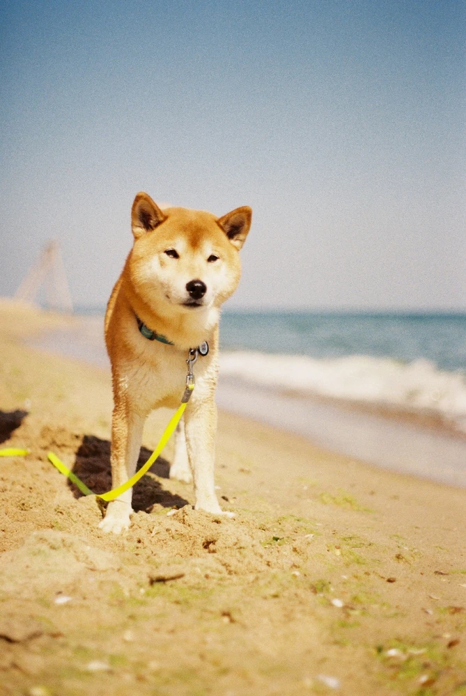 Image uploaded by Liza