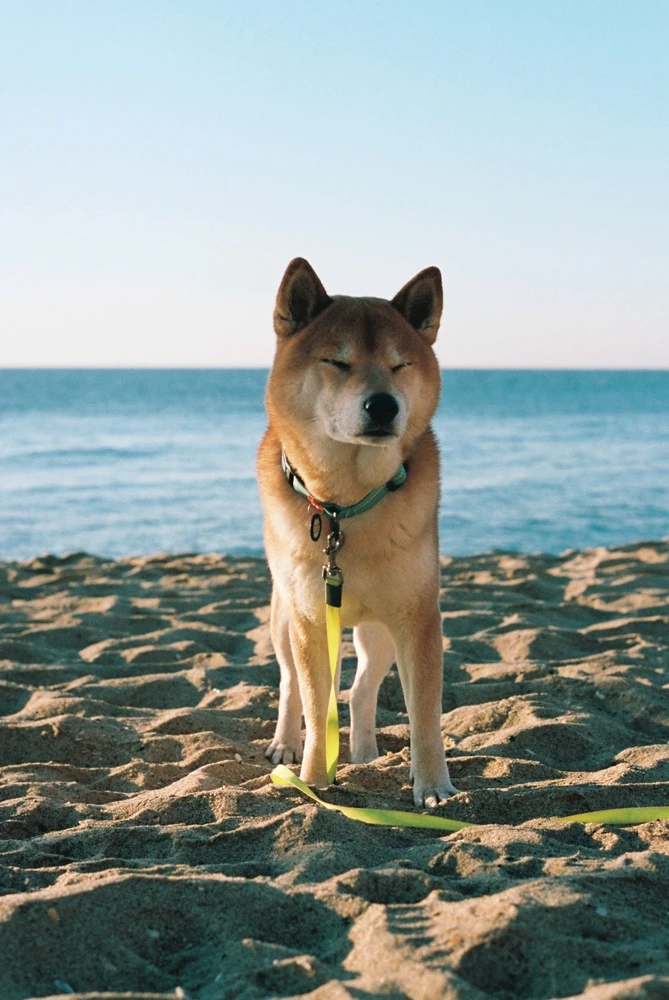 Image uploaded by Liza