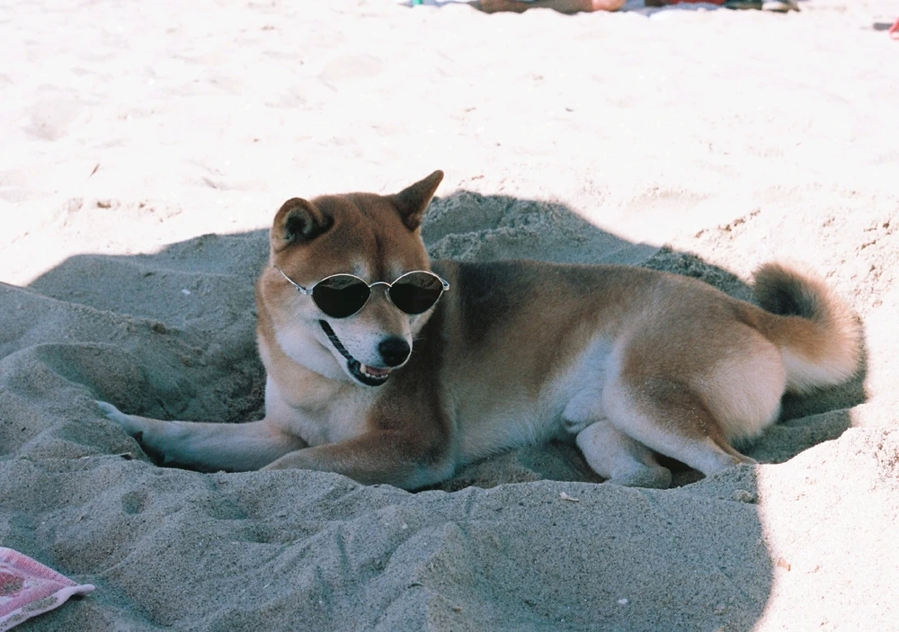 Image uploaded by Liza