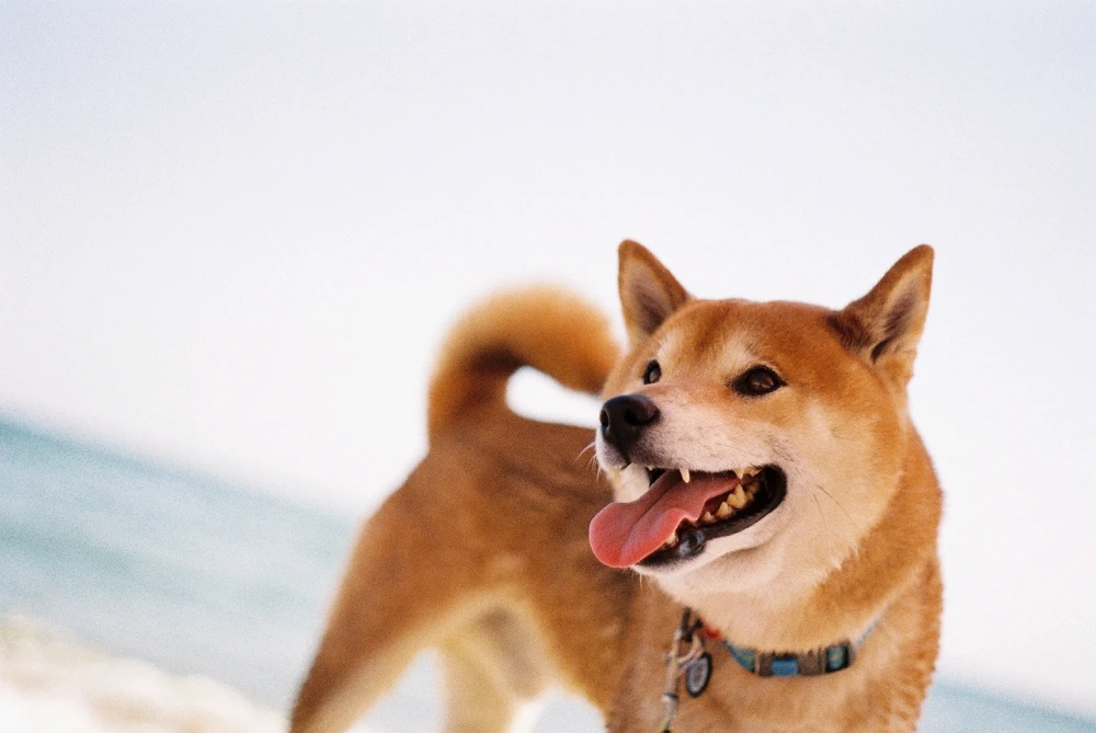 Image uploaded by Liza