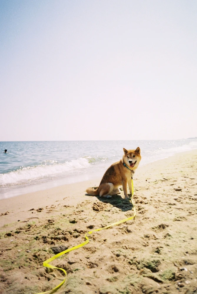 Image uploaded by Liza