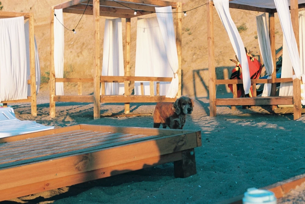 Image uploaded by Liza