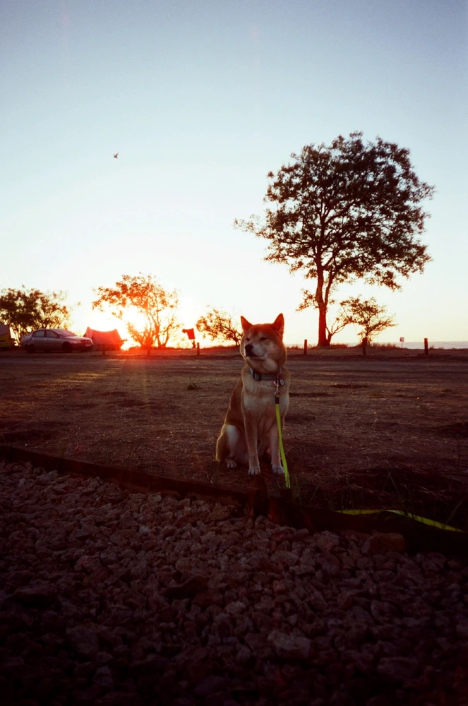 Image uploaded by Liza