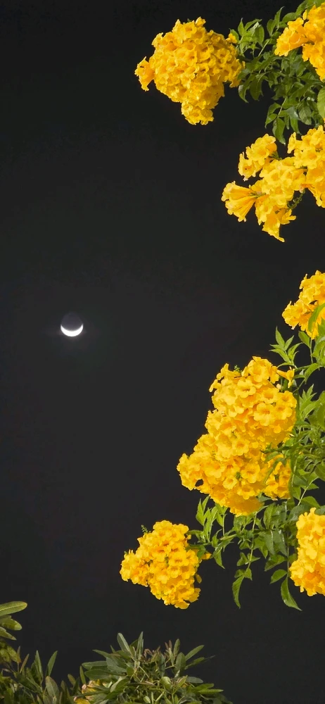 GIF uploaded by Gheng