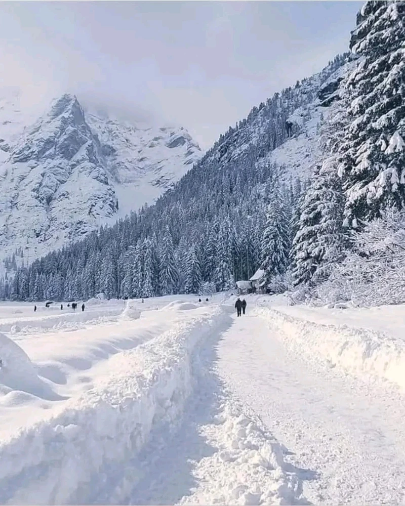 GIF uploaded by Sara