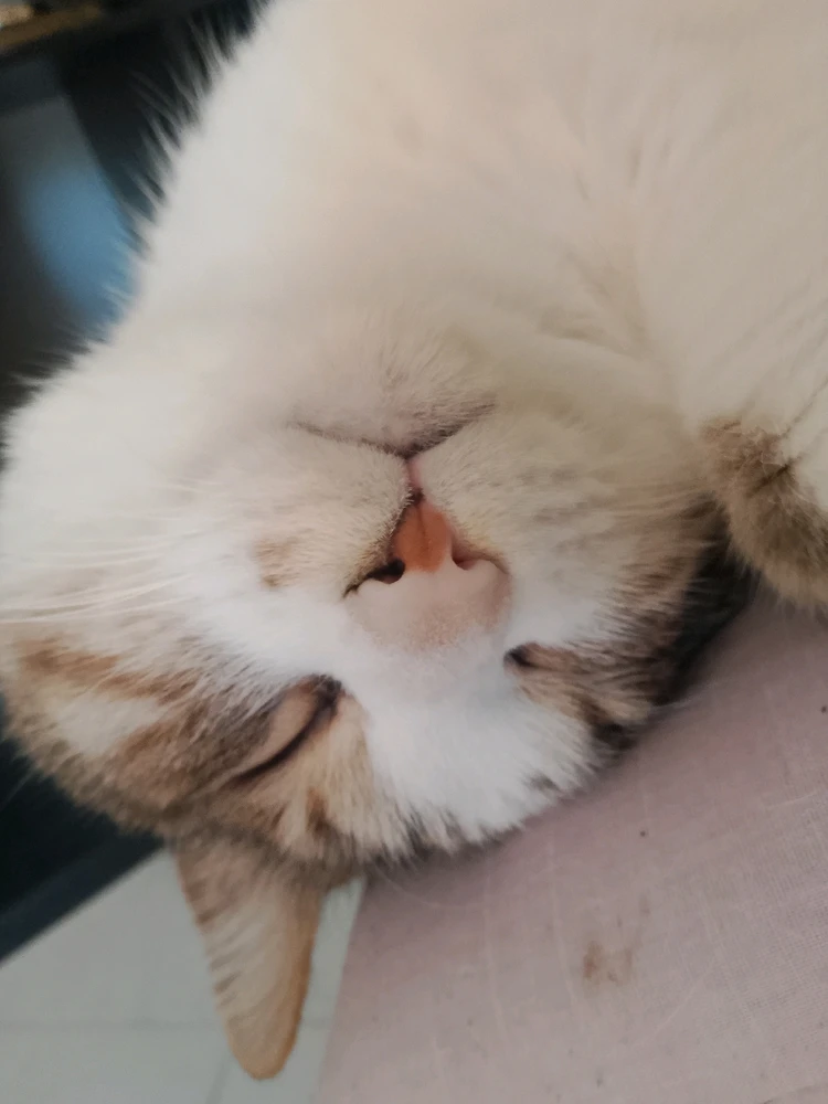 GIF uploaded by Mr Nice