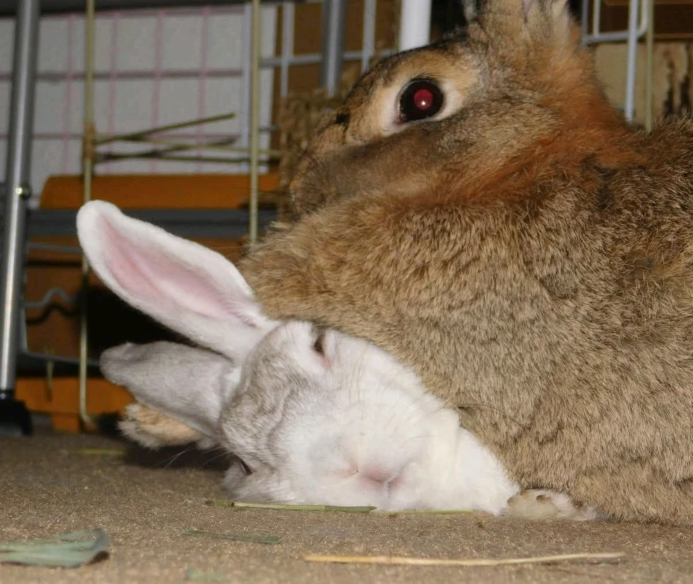 GIF uploaded by Patrick