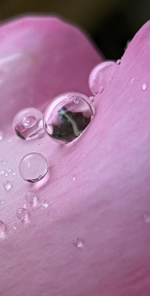 GIF uploaded by Chris