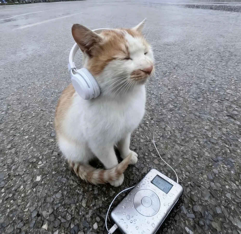 GIF uploaded by Tazqia