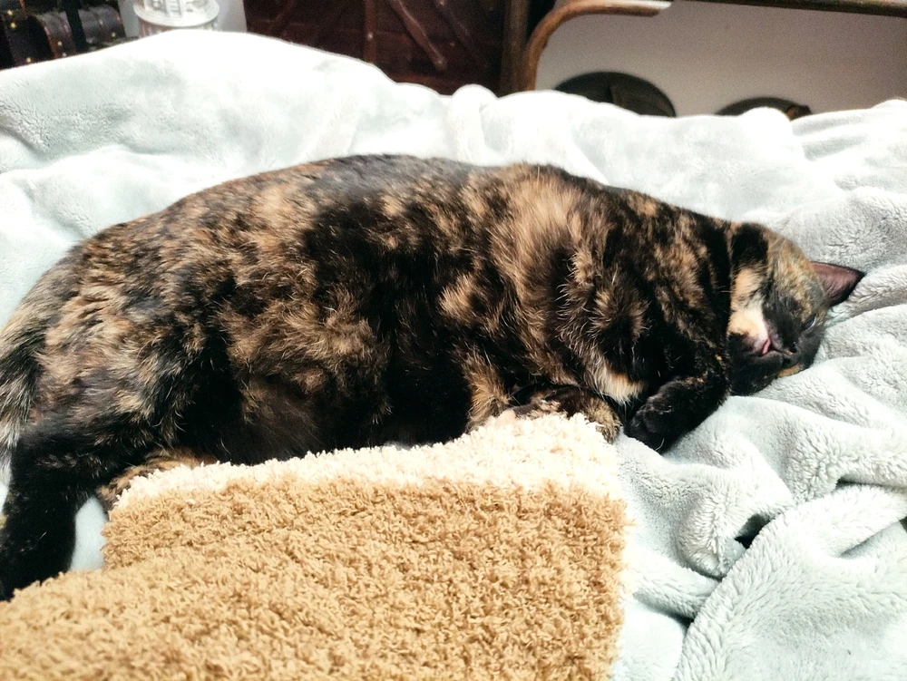 GIF uploaded by Nathalie