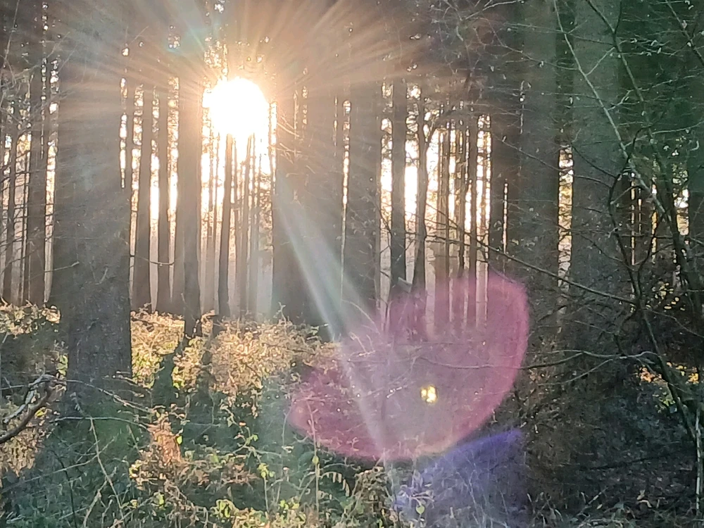 Bild hochgeladen von Herbert = ᚺᛖᚱᛒᛖᚱᛏ