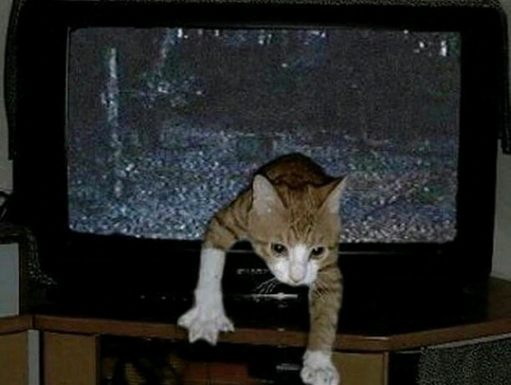 GIF subido por Arturo