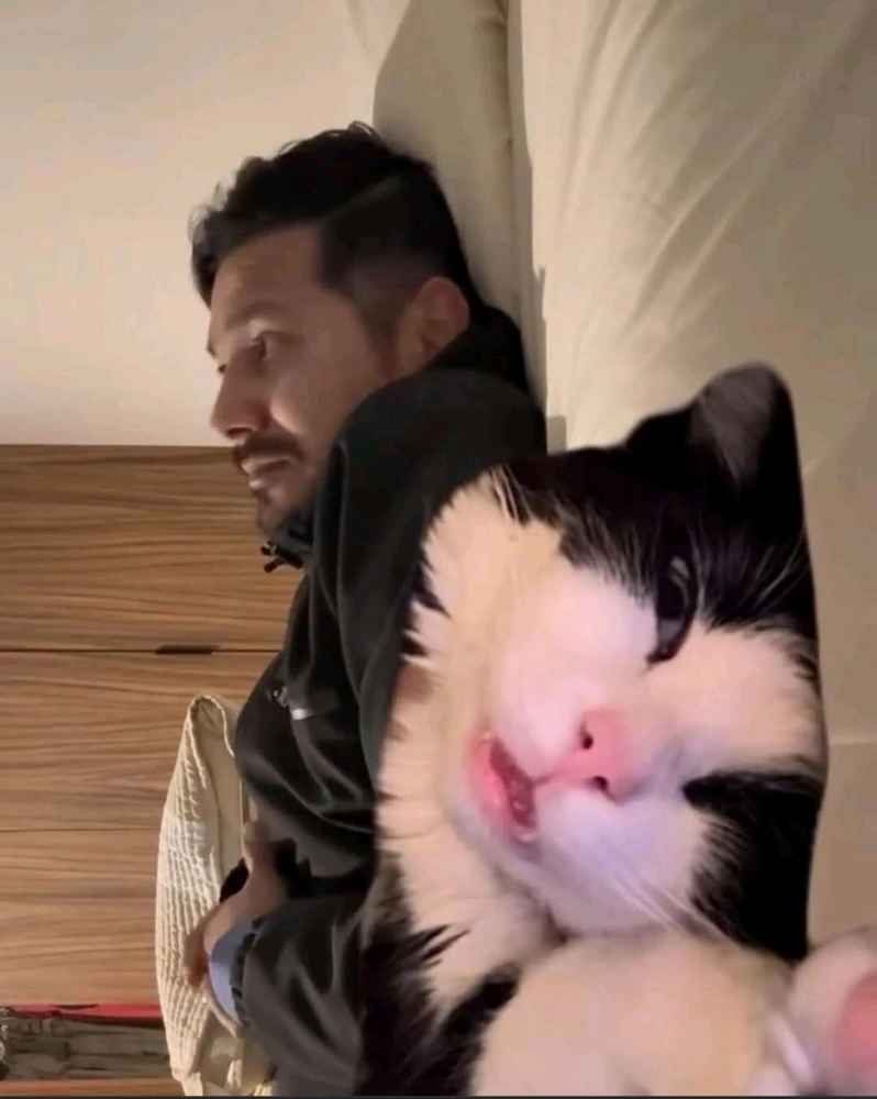 GIF uploaded by Shiri 쉬린 💜