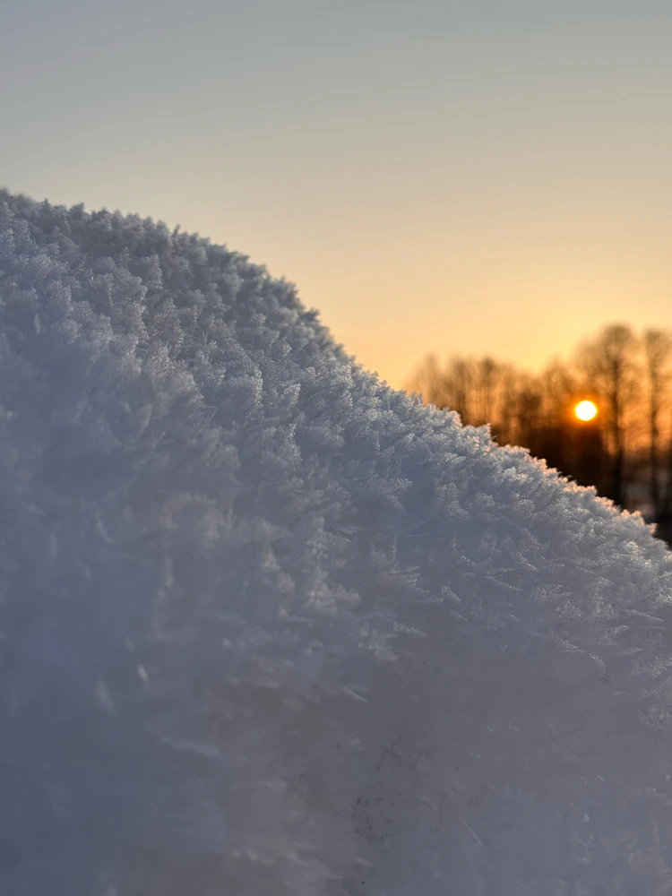 GIF įkėlė Giedrė