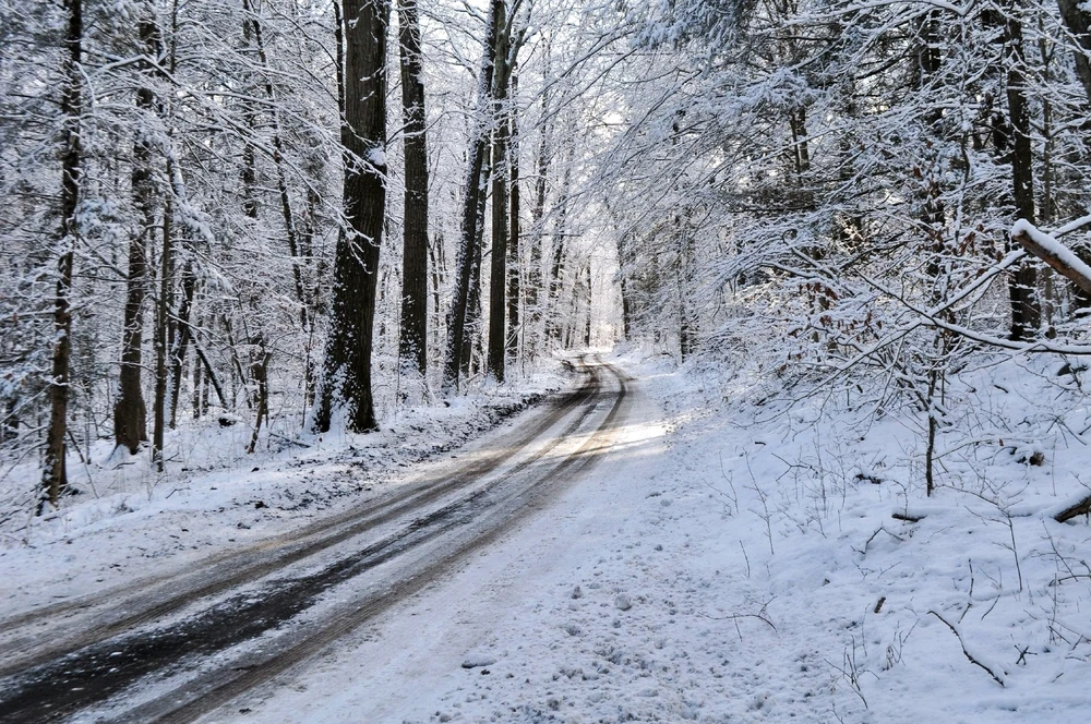 Image uploaded by Sabrina!